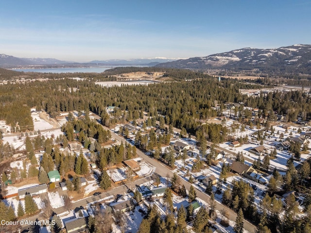 drone / aerial view featuring a mountain view