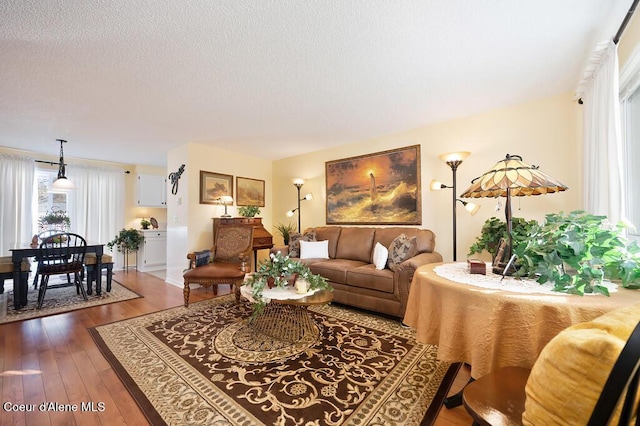 living room with dark hardwood / wood-style floors and a textured ceiling