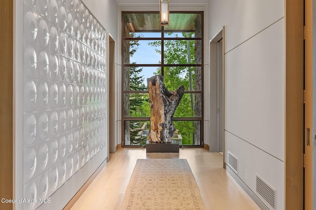 entryway with light hardwood / wood-style flooring