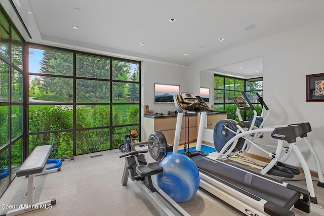 workout room with light colored carpet and expansive windows