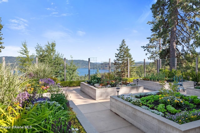 view of community featuring a water and mountain view