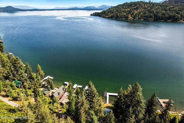 525 Bay Dr, Sagle, ID 83860 - photo 35