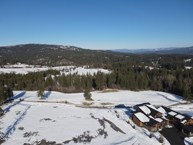 15656 S Syrah Way, Coeur Dalene ID, 83814 land for sale