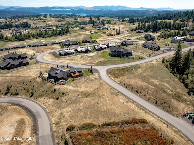 15656 S Syrah Way, Coeur Dalene, ID 83814 - photo 6