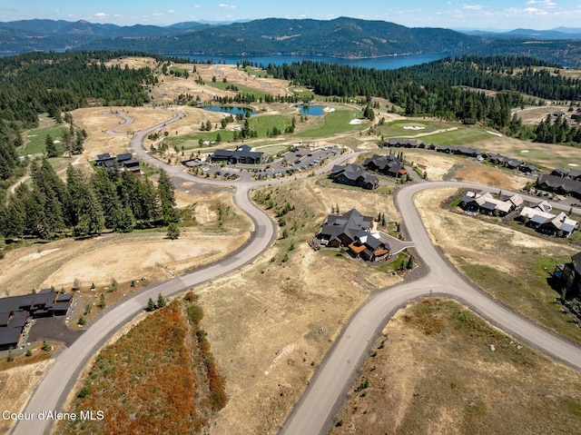 15656 S Syrah Way, Coeur Dalene, ID 83814 - photo 11