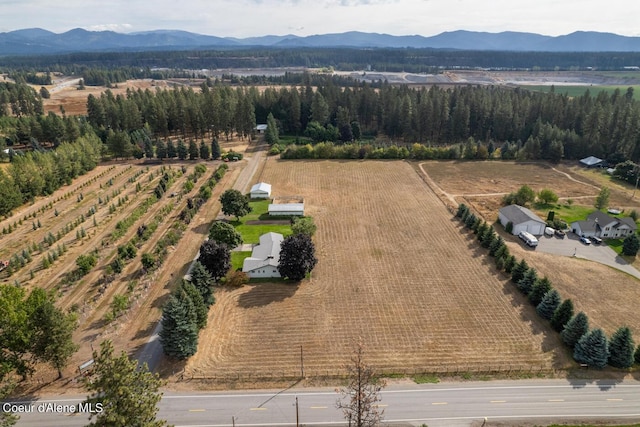 drone / aerial view with a mountain view and a rural view