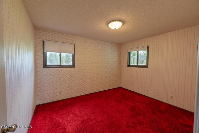 carpeted empty room featuring plenty of natural light and a textured ceiling