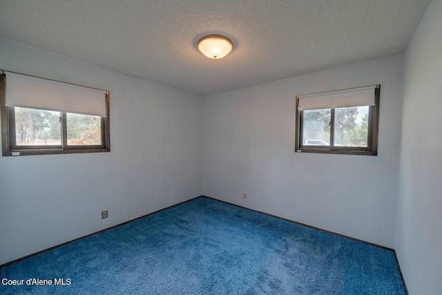 carpeted spare room featuring a healthy amount of sunlight and a textured ceiling