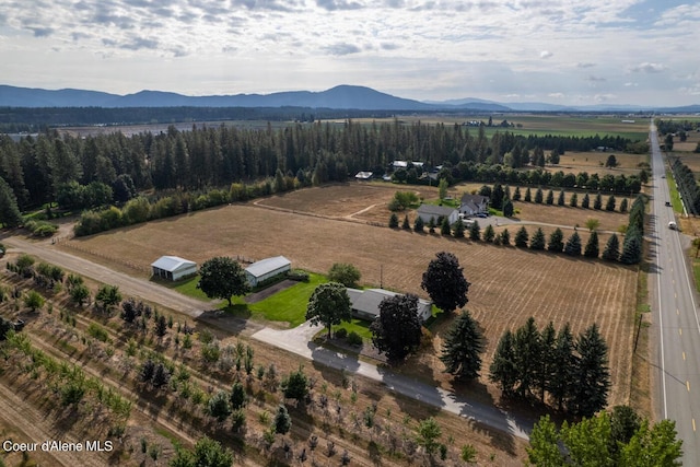 drone / aerial view featuring a mountain view and a rural view