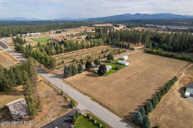 aerial view with a mountain view and a rural view