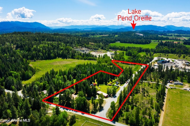 drone / aerial view with a mountain view