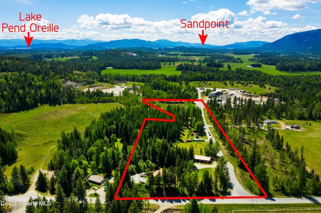 drone / aerial view featuring a mountain view
