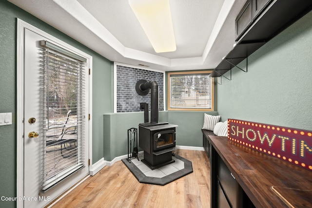 details featuring a raised ceiling, hardwood / wood-style flooring, and a wood stove