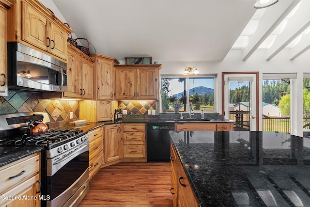 kitchen with sink, tasteful backsplash, dark stone counters, appliances with stainless steel finishes, and a healthy amount of sunlight