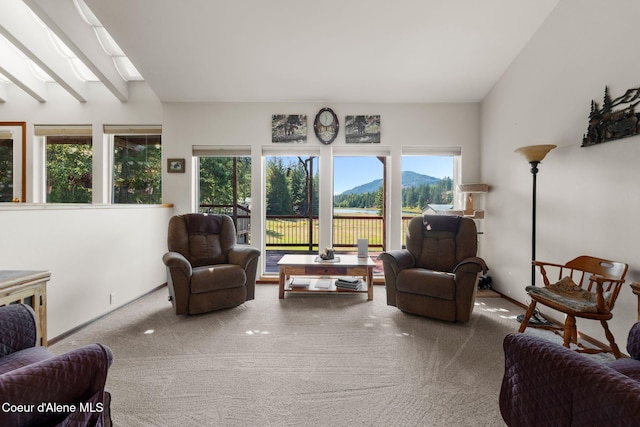 interior space with a skylight, carpet, and a mountain view