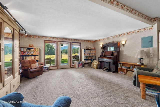 sitting room with carpet floors, electric panel, and a textured ceiling