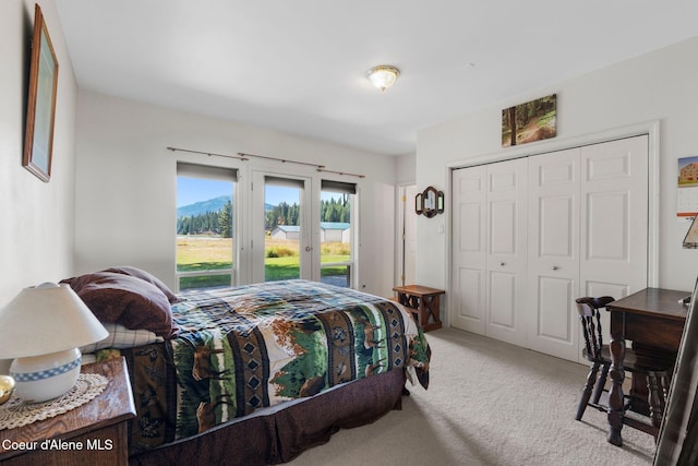 carpeted bedroom featuring access to outside and a closet