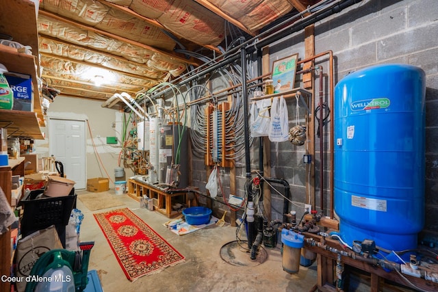 basement with water heater