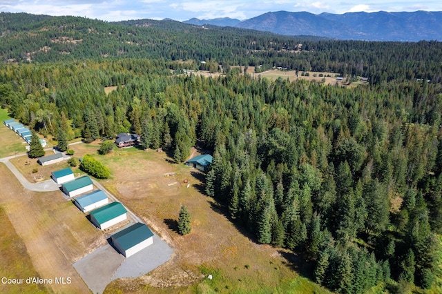 birds eye view of property featuring a mountain view