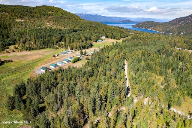 drone / aerial view with a water and mountain view