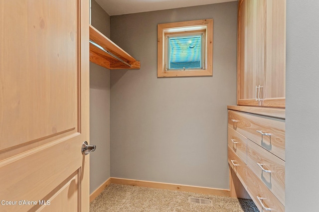 walk in closet with light colored carpet