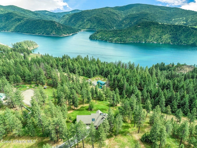 bird's eye view featuring a water and mountain view