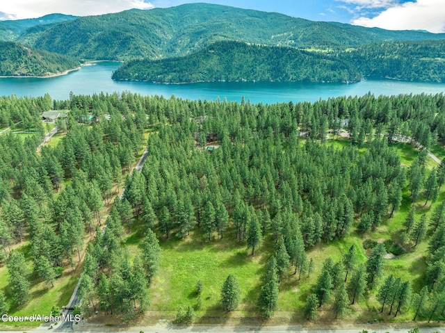 birds eye view of property with a water and mountain view