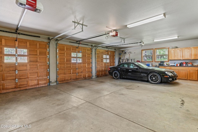 garage with a garage door opener