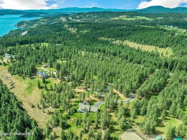 drone / aerial view featuring a mountain view