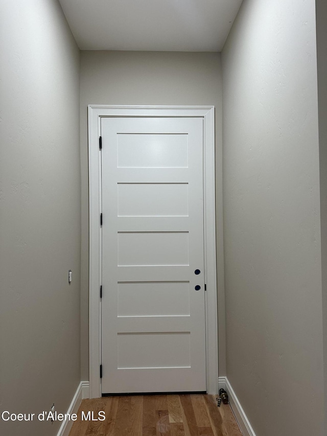 entryway featuring wood-type flooring