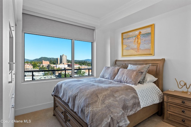 view of carpeted bedroom