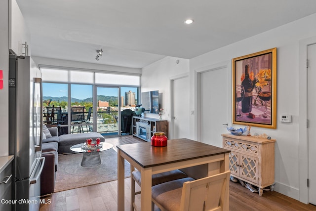 dining room with light hardwood / wood-style flooring