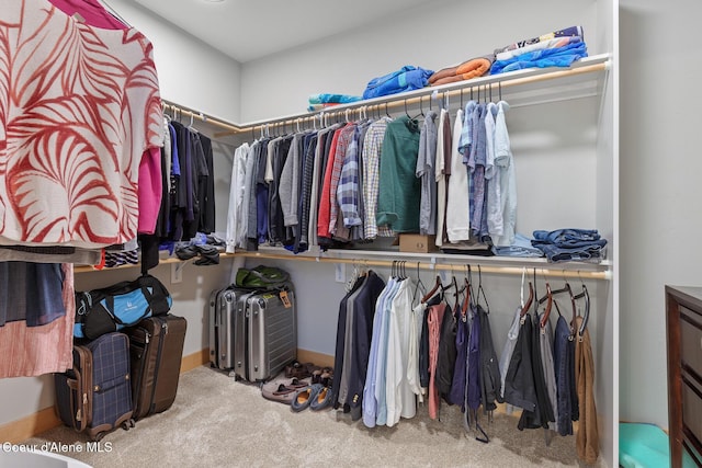 walk in closet with light colored carpet