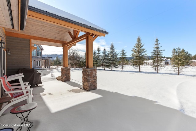 snow covered patio with grilling area