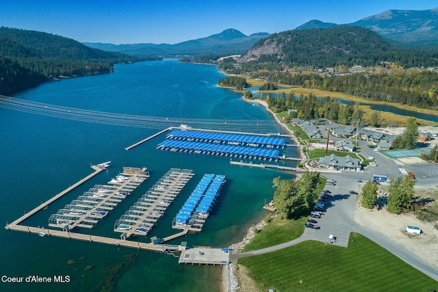 birds eye view of property featuring a water and mountain view