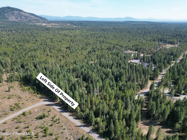 aerial view with a mountain view