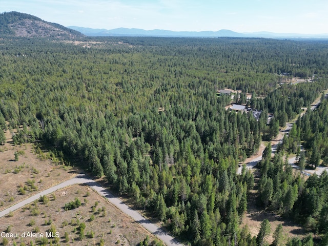 drone / aerial view with a mountain view