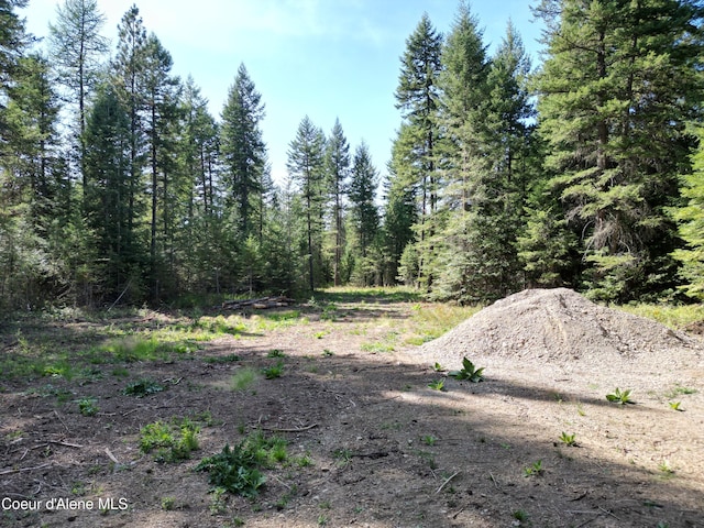 view of local wilderness