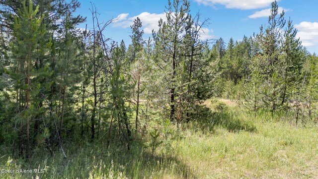 TBD Homestead Rd, Athol, ID 83801 - photo 3