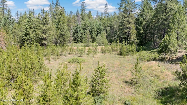 TBD Homestead Rd, Athol, ID 83801 - photo 2