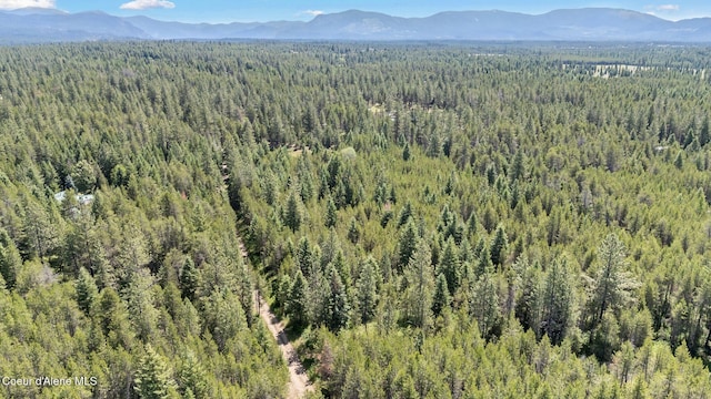 TBD Homestead Rd, Athol, ID 83801 - photo 17