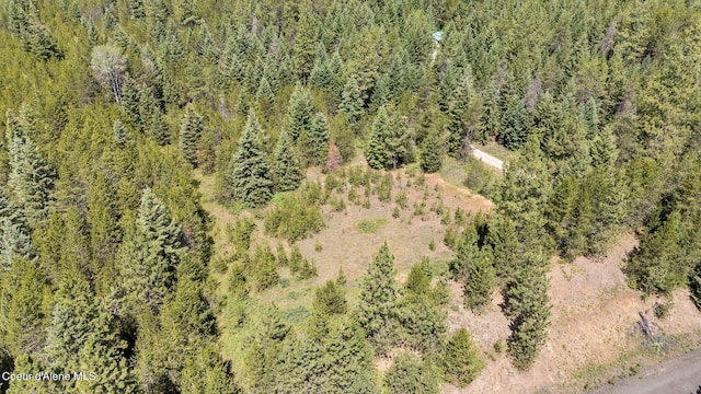 TBD Homestead Rd, Athol, ID 83801 - photo 18