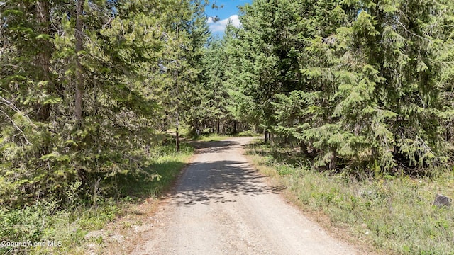TBD Homestead Rd, Athol, ID 83801 - photo 4