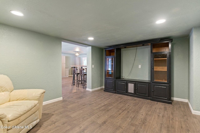 living room featuring wood-type flooring