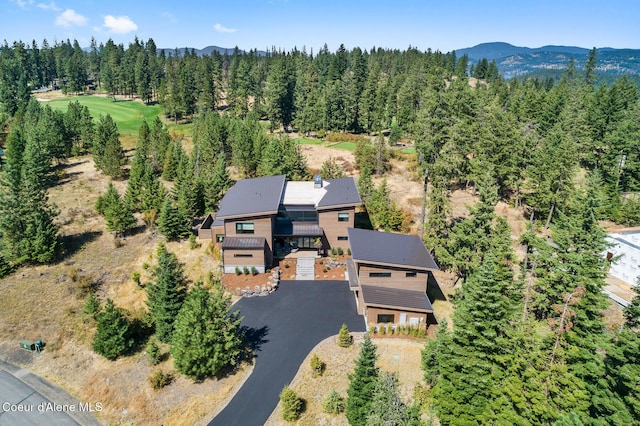 2763 E Lower Pasture Rd, Harrison, ID 83833 - bird's eye view with a mountain view