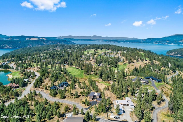 2763 E Lower Pasture Rd, Harrison, ID 83833 - aerial view with a water and mountain view