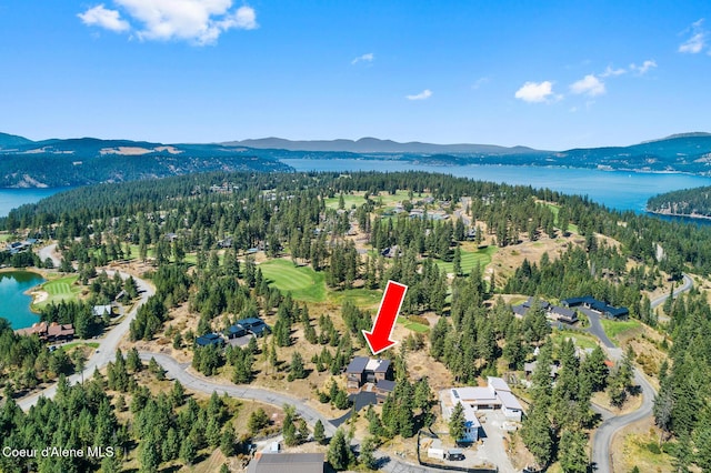 2763 E Lower Pasture Rd, Harrison, ID 83833 - bird's eye view featuring a water and mountain view