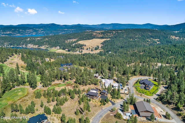 2763 E Lower Pasture Rd, Harrison, ID 83833 - aerial view with a mountain view