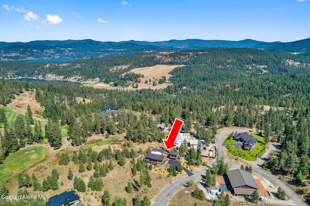 2763 E Lower Pasture Rd, Harrison, ID 83833 - aerial view featuring a mountain view