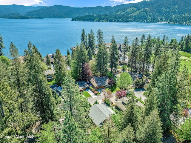 birds eye view of property with a water and mountain view